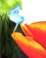 Chameleon